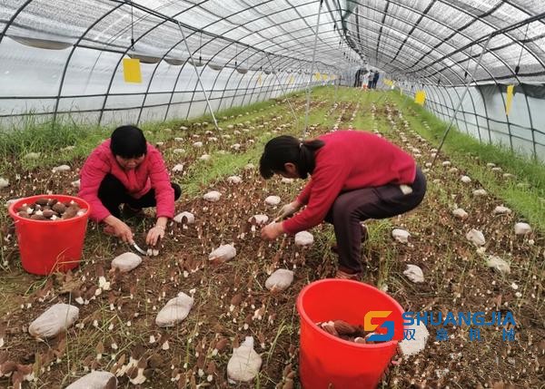 1648258363202744.jpg 16-26-24-39-283825.jpg