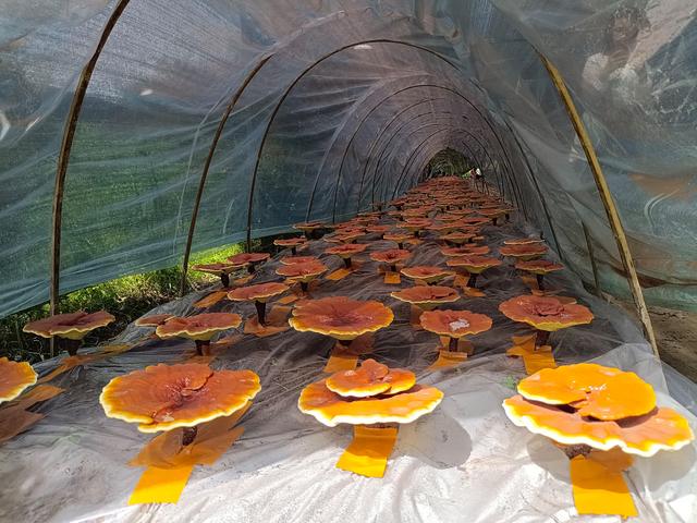 1657759774390592.jpeg 11-11-29-30-283825.jpeg