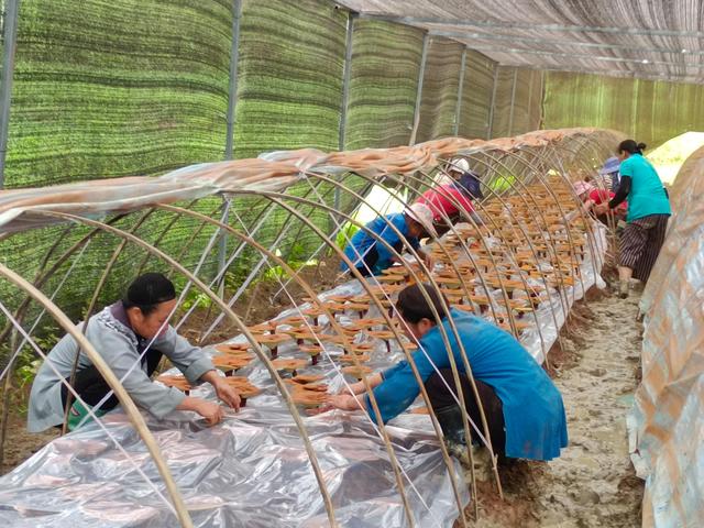 1657759785109985.jpeg 11-11-47-82-283825.jpeg