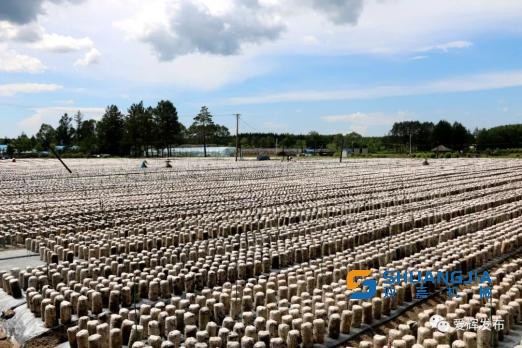 1657850173183420.jpg 20-38-15-81-283825.jpg