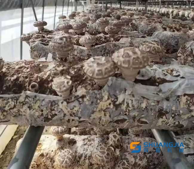 1658196929839062.png 14-08-15-48-283825.png