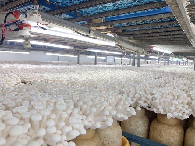 1658284409112352.jpeg 09-29-36-61-283825.jpeg