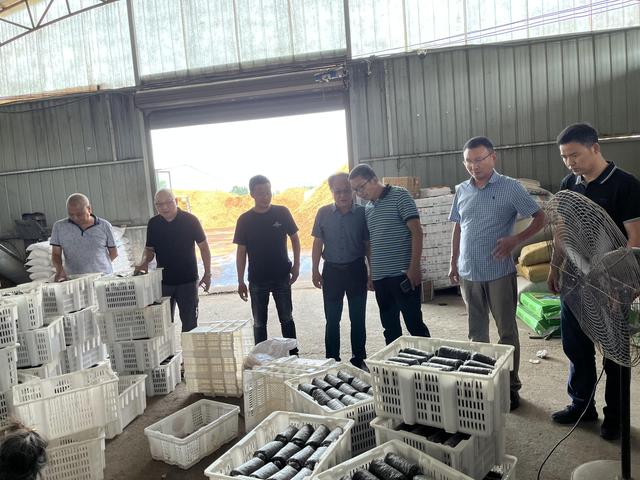 1659669349201669.jpeg 09-14-55-92-283825.jpeg