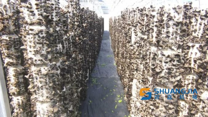 1660529024214954.jpg 09-47-48-33-283825.jpg