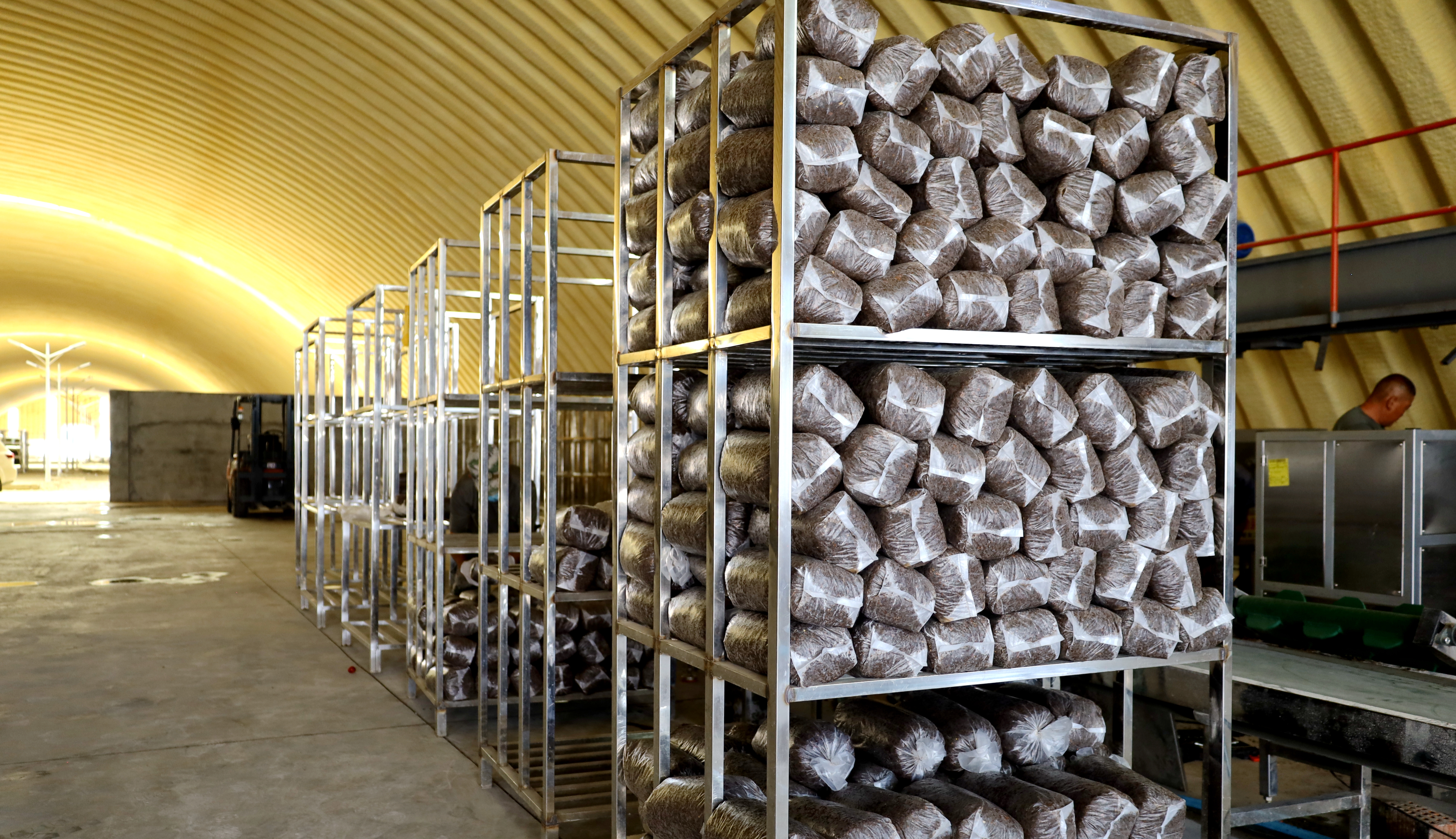 1660973389258972.jpeg W020220818477487050431.jpeg