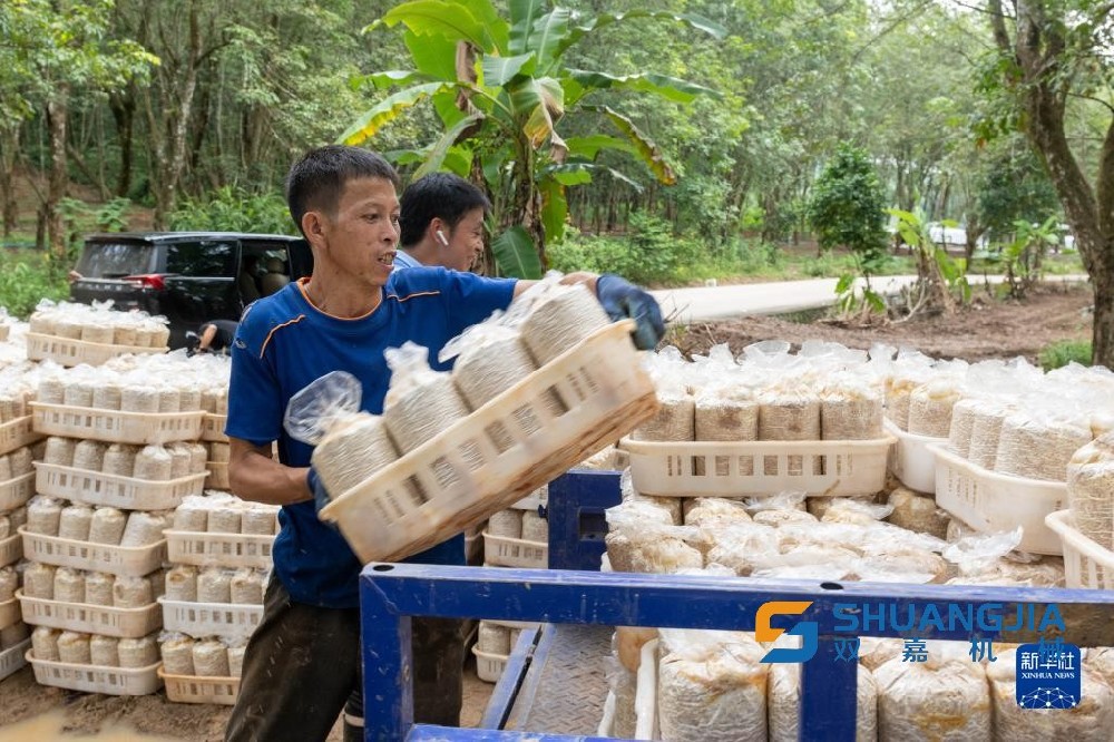 1664073995588414.jpg f51de8372113248a7c9095241566ad13.jpg