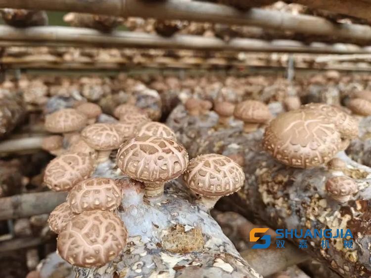 1671335607241188.jpg 12-05-48-96-283825.jpg