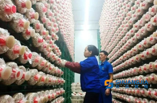 1672394039807352.png 13-52-07-84-283825.png