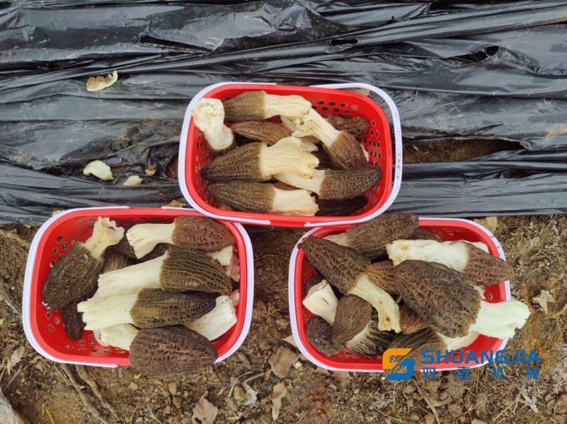 1679920829893652.jpg 09-47-06-97-283825.jpg