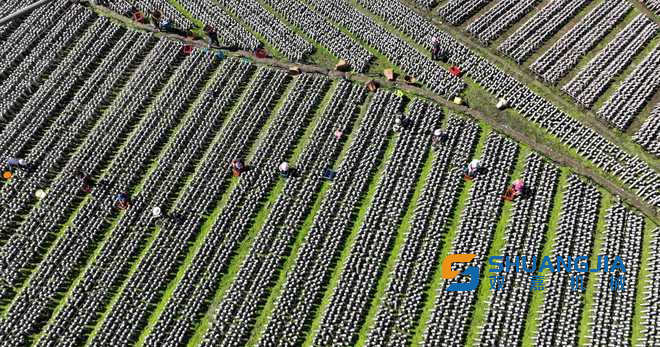 1680417905154662.png 09-13-26-29-451102.png