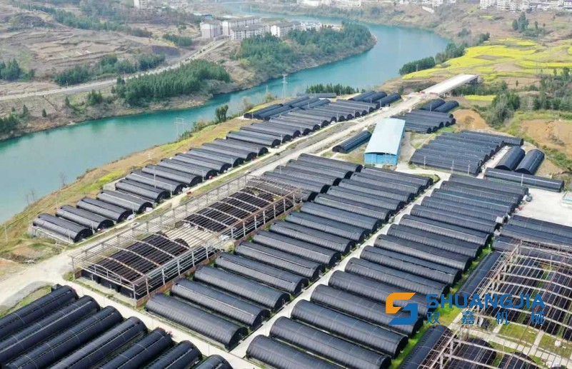 1683707455125387.jpg 09-18-03-99-283825.jpg