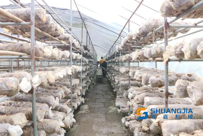 1684658588313032.png 09-48-00-90-451102.png